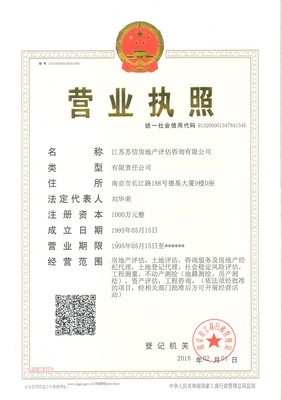 江苏苏信房地产评估咨询 专业价值的守护者